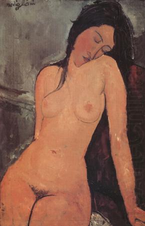Amedeo Modigliani Nude (nn03) china oil painting image